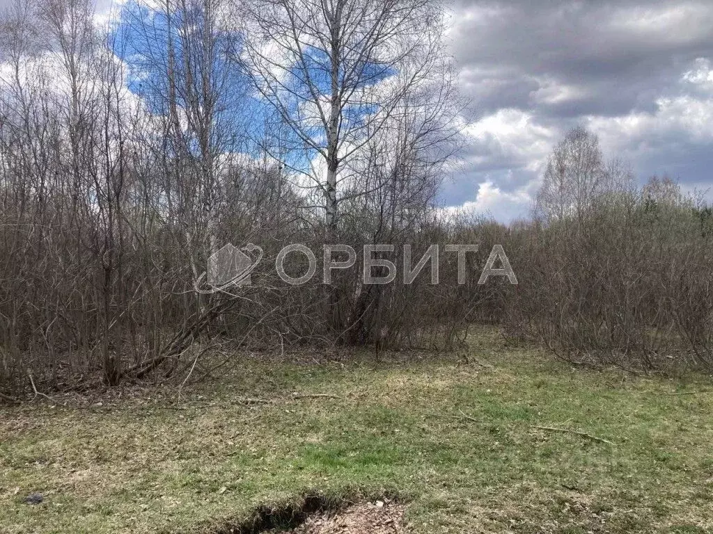Участок в Тюменская область, Нижнетавдинский район, Геолог-2 СНТ 5-я ... - Фото 1