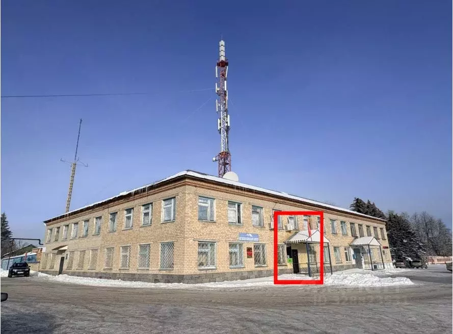 Помещение свободного назначения в Пензенская область, с. Лопатино ул. ... - Фото 1