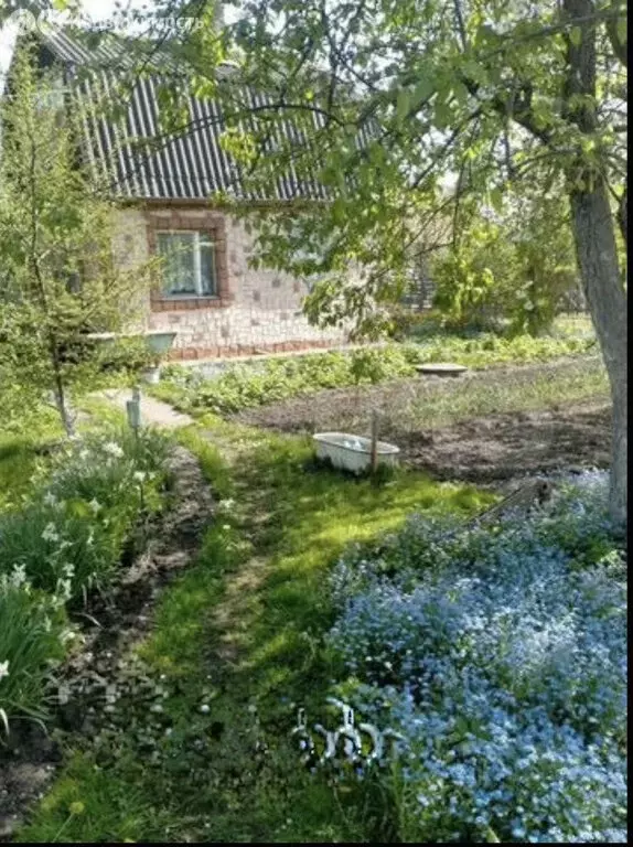 Дом в Калининград, СНТ Медик, 7-й проезд, 28 (20 м) - Фото 1