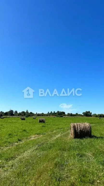 Дом в Калининградская область, Полесский муниципальный округ, пос. ... - Фото 1