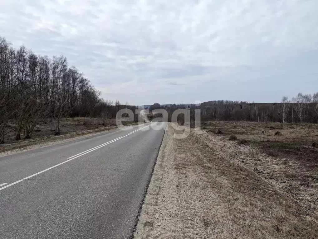 Участок в Тульская область, Дубенский район, Протасовское ... - Фото 0