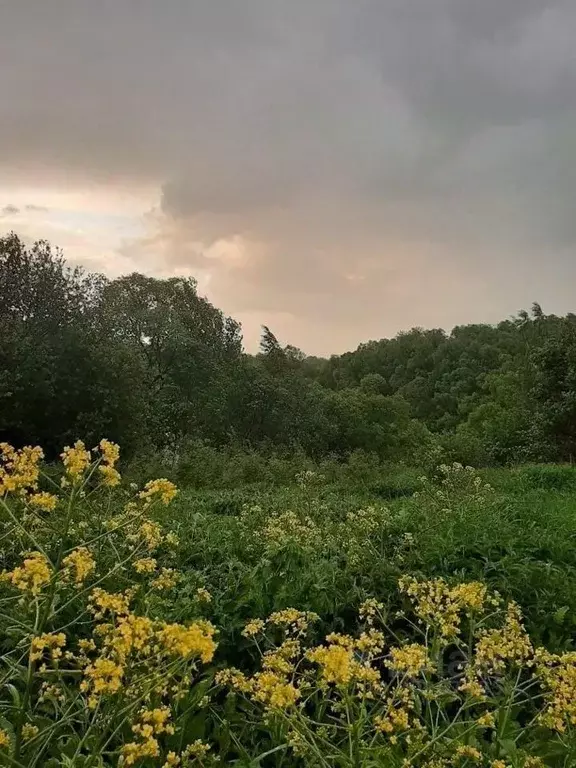 Дом в Нижегородская область, Шатковский муниципальный округ, с. ... - Фото 1