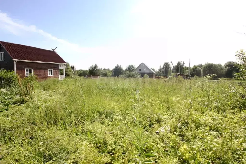 Участок в Вологодская область, Шекснинский муниципальный округ, д. ... - Фото 1