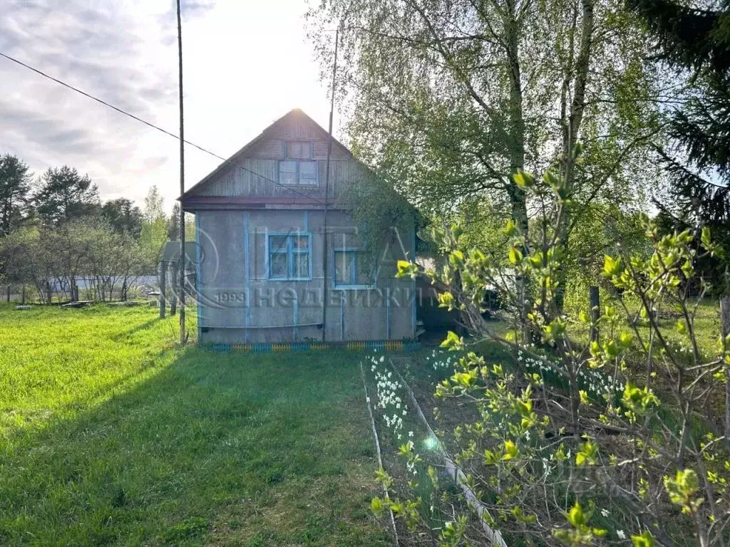 Участок в Ленинградская область, Лодейнопольский район, Янегское ... - Фото 0