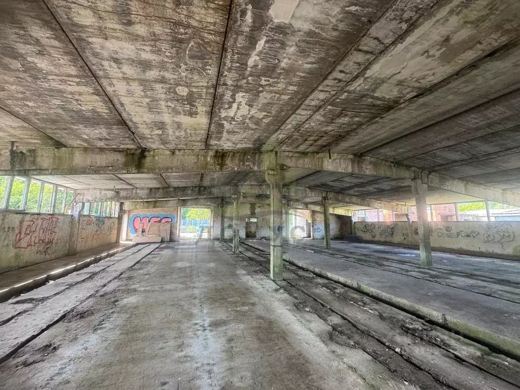 Склад в Московская область, Раменский муниципальный округ, Дубки ДНП  ... - Фото 1