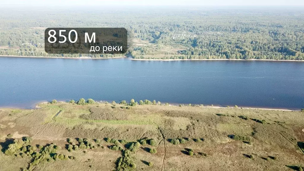 Участок в Ярославская область, Угличский муниципальный округ, д. ... - Фото 2