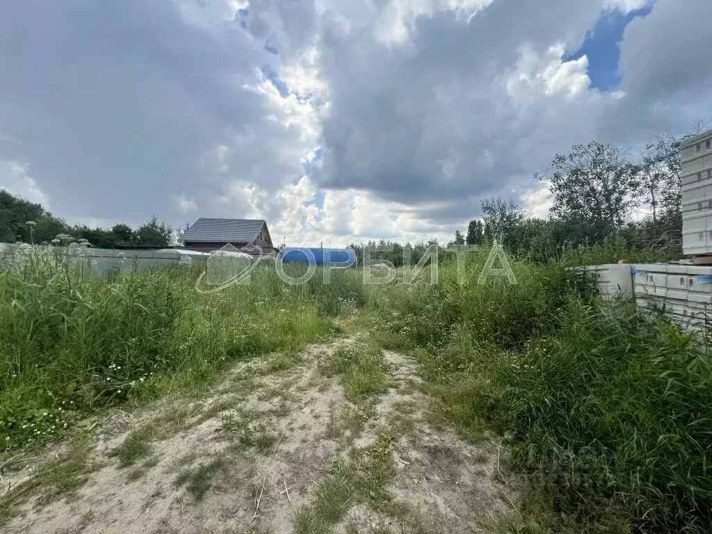 Участок в Тюменская область, Тюмень СОСН Аккумуляторщик-2 тер., ул. ... - Фото 1