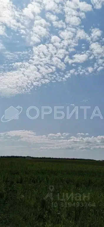 Участок в Тюменская область, Тюменский район, с. Горьковка Сибирская ... - Фото 1