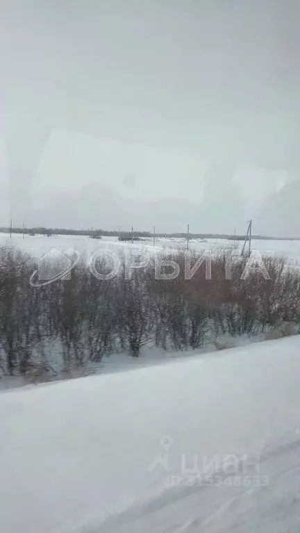 Участок в Тюменская область, Тюменский район, д. Большие Акияры  (8.36 ... - Фото 2