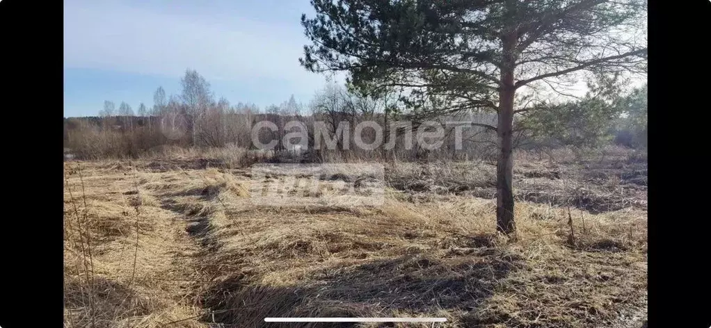 Участок в Вологодская область, д. Митенское (Октябрьский сельсовет)  ... - Фото 1
