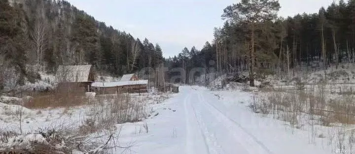 Участок в Алтай, Майминский район, с. Манжерок  (11.5 сот.) - Фото 0