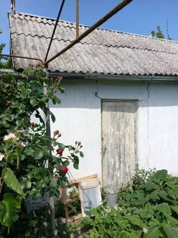 Купить Дачу В Евпатории