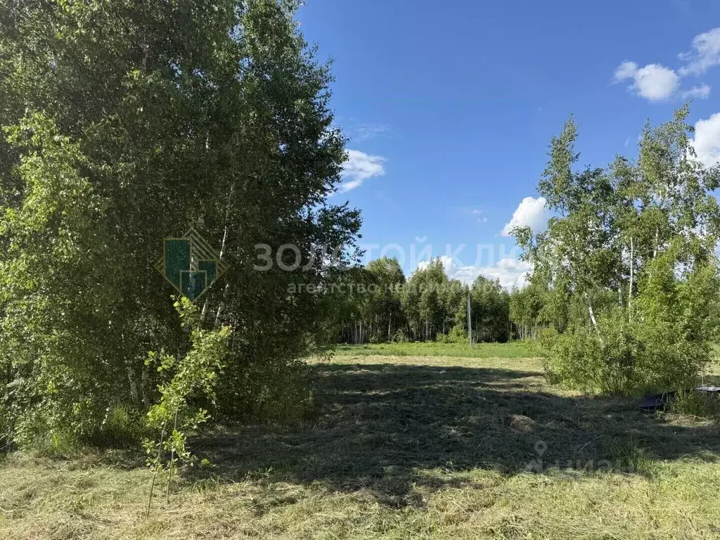 Участок в Московская область, Дмитровский муниципальный округ, ... - Фото 1
