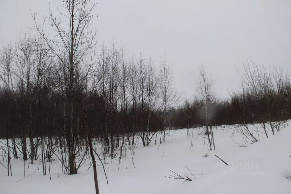 Участок в Московская область, Шаховская муниципальный округ, д. ... - Фото 1