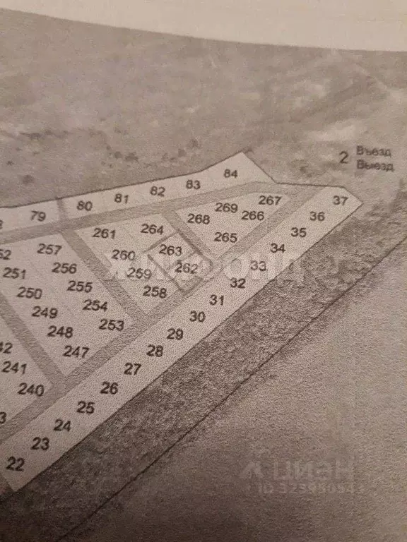 Участок в Воронежская область, Семилукский район, с. Девица  (11.0 ... - Фото 2