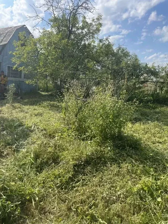 Дом в Московская область, Ногинск Богородский городской округ, Ромашка ... - Фото 1