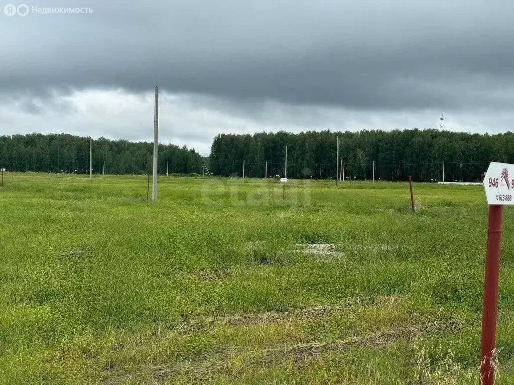 Участок в Свердловская область, Тугулымский муниципальный округ, село ... - Фото 1