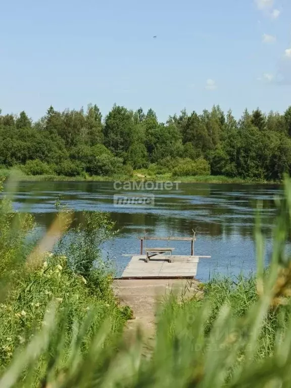 Участок в Ленинградская область, Кингисеппский район, Куземкинское ... - Фото 0
