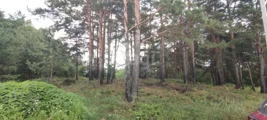 Участок в Свердловская область, Сысертский муниципальный округ, д. ... - Фото 1