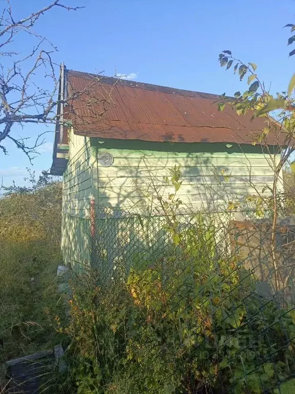 Участок в Ленинградская область, Сланцы Дружба СНТ,  (5.0 сот.) - Фото 1