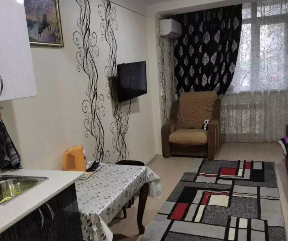 Студия Краснодарский край, Сочи городской округ, с. Орел-Изумруд ул. ... - Фото 1