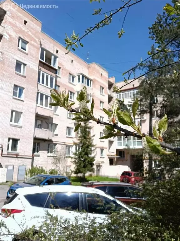 3-комнатная квартира: Пушкин, Школьная улица, 23 (73.7 м) - Фото 1