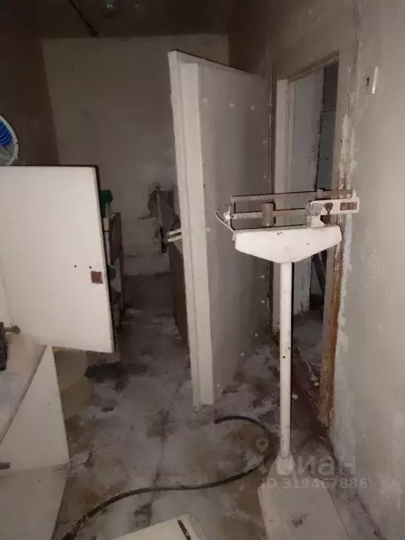 Помещение свободного назначения в Мордовия, Саранск ул. Попова, 47 ... - Фото 0