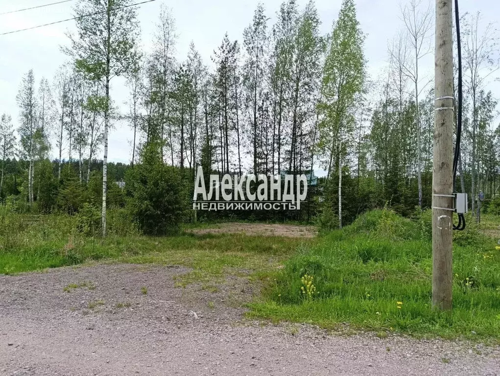Участок в Выборгский район, Приморское городское поселение, КП Тишь да ... - Фото 2