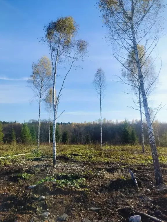 Участок в Московская область, Клин городской округ, Малахитовые дачи ... - Фото 1