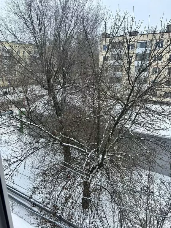 2-к кв. Ростовская область, Батайск Авиагородок мкр, 27 (47.3 м) - Фото 1