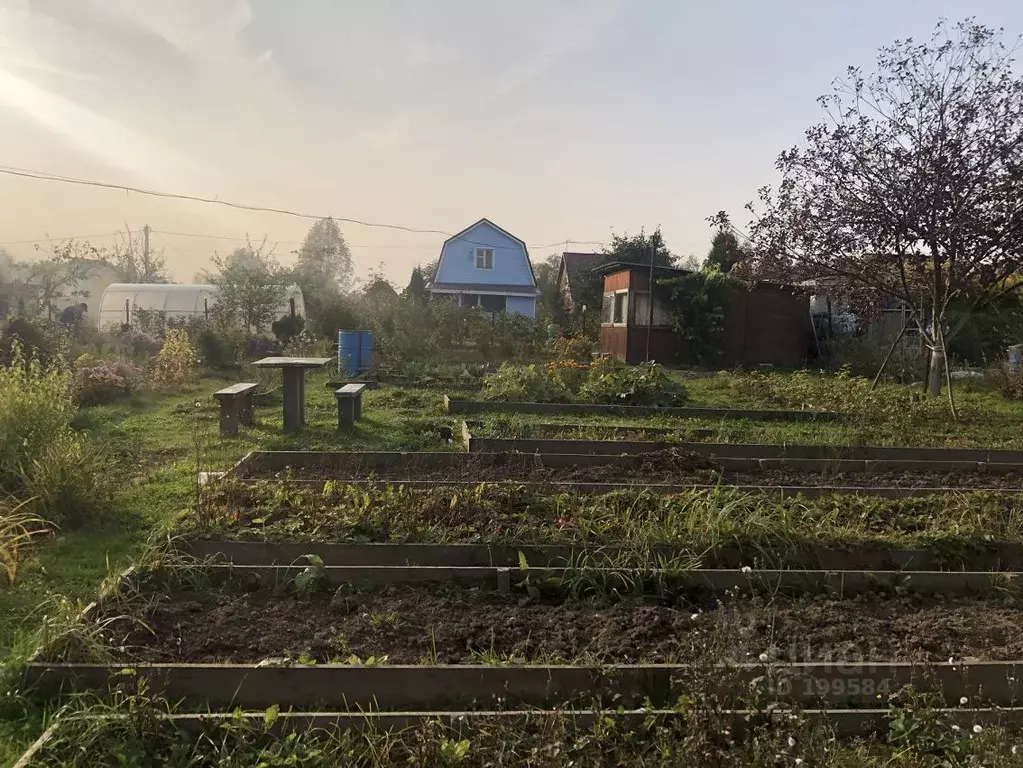 Купить Земельный Участок В Сущево Владимирская