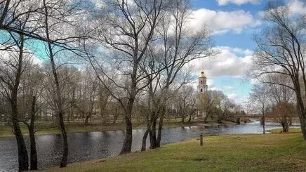 Участок 12 сот. (ИЖС) - Фото 1