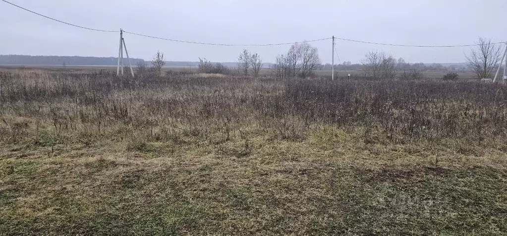 Участок в Московская область, Луховицы муниципальный округ, пос. ... - Фото 2