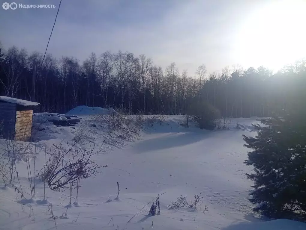 Участок в Иркутский муниципальный округ, деревня Новолисиха, Клубный ... - Фото 1