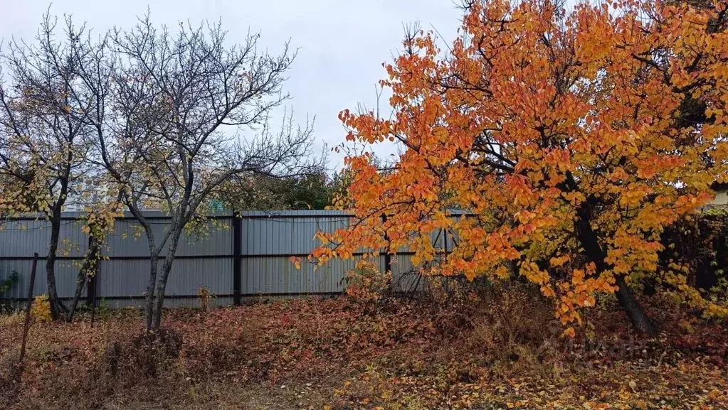 Участок в Саратовская область, Саратов проезд 1-й Изобильный, 17 (7.4 ... - Фото 1