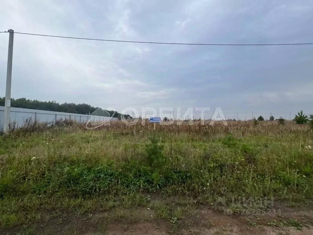 Участок в Тюменская область, Тюменский муниципальный округ, д. Елань  ... - Фото 1