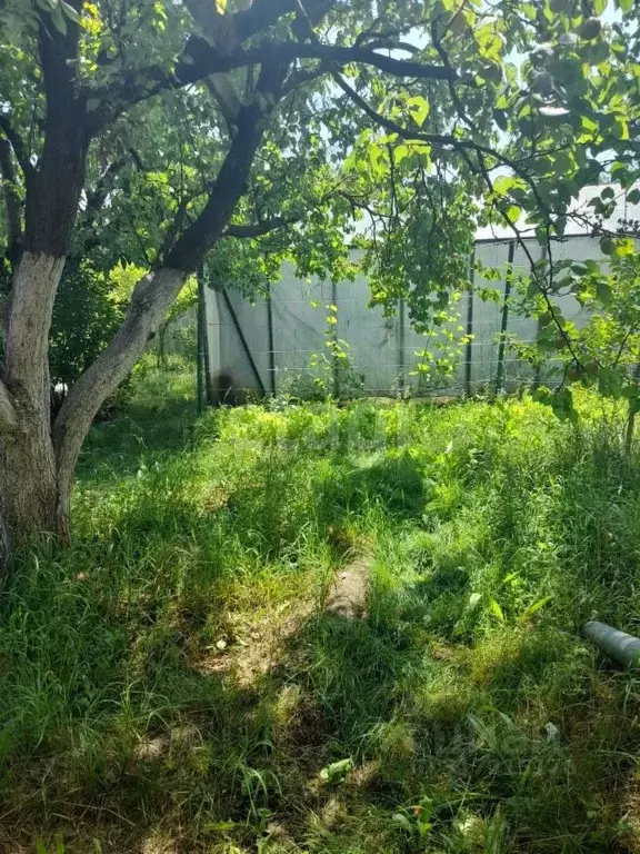 Участок в Ставропольский край, Ставрополь Комплекс-2 садовое ... - Фото 2