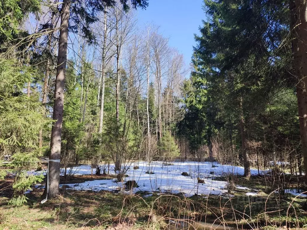 Участок в Московская область, Одинцовский городской округ, пос. НИИ ... - Фото 1
