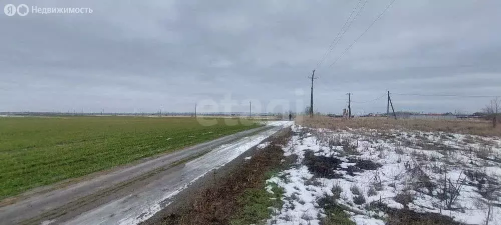 Участок в Ростовская область, Багаевское сельское поселение, ... - Фото 2