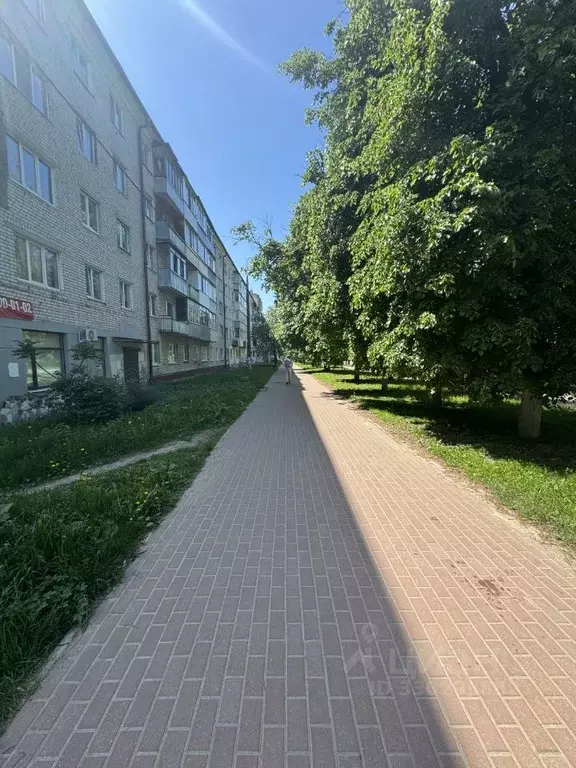 Помещение свободного назначения в Брянская область, Брянск ... - Фото 1
