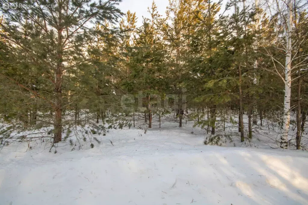 Участок в село Успенка, Зеленогорская улица (15 м) - Фото 0