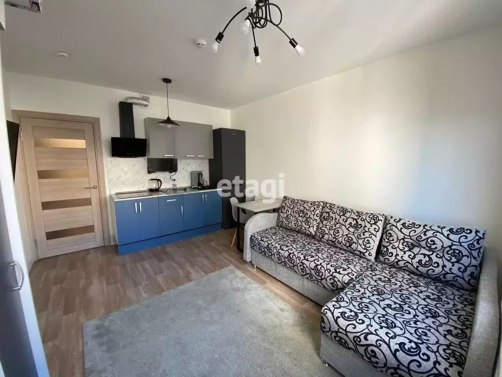 Студия Санкт-Петербург дор. Муринская, 25к2 (20.4 м) - Фото 2