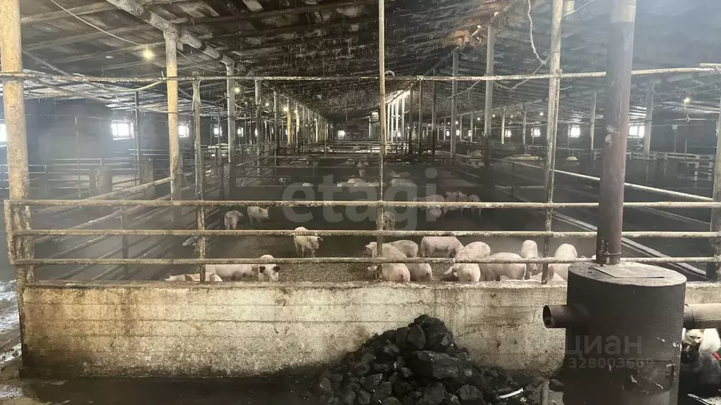 Помещение свободного назначения в Красноярский край, Сосновоборский ... - Фото 1