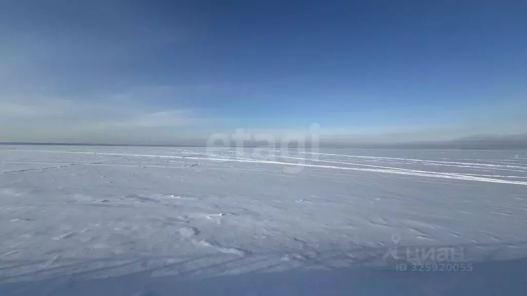 Участок в Нижегородская область, Сокольский муниципальный округ, с. ... - Фото 2