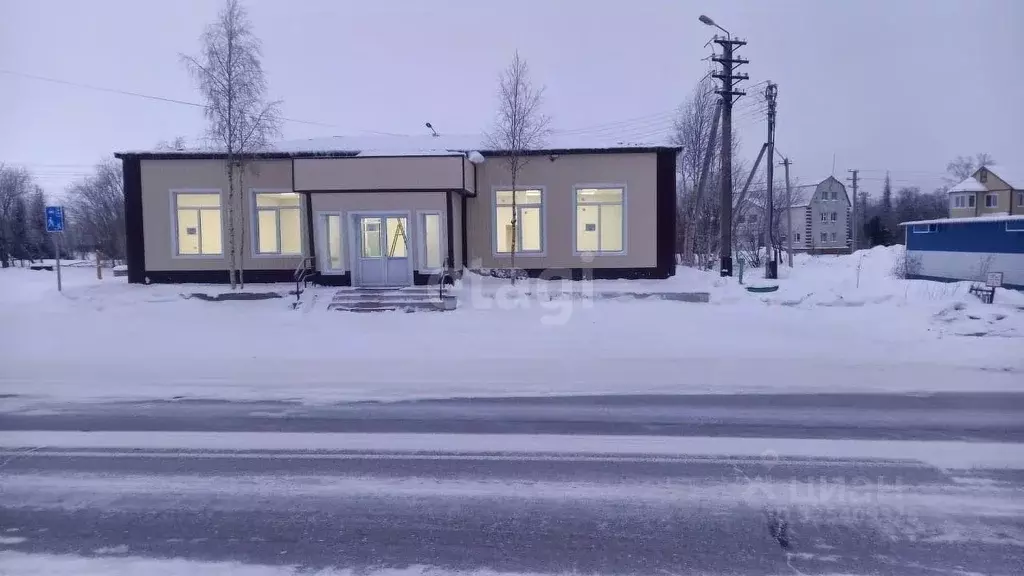 Торговая площадь в Ямало-Ненецкий АО, Надымский район, Пангоды пгт ул. ... - Фото 1