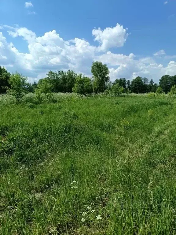 Участок в Московская область, Ступино городской округ, д. Боброво  ... - Фото 2
