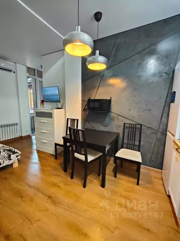Студия Краснодарский край, Сириус пгт ул. Станиславского, 17 (26.0 м) - Фото 0