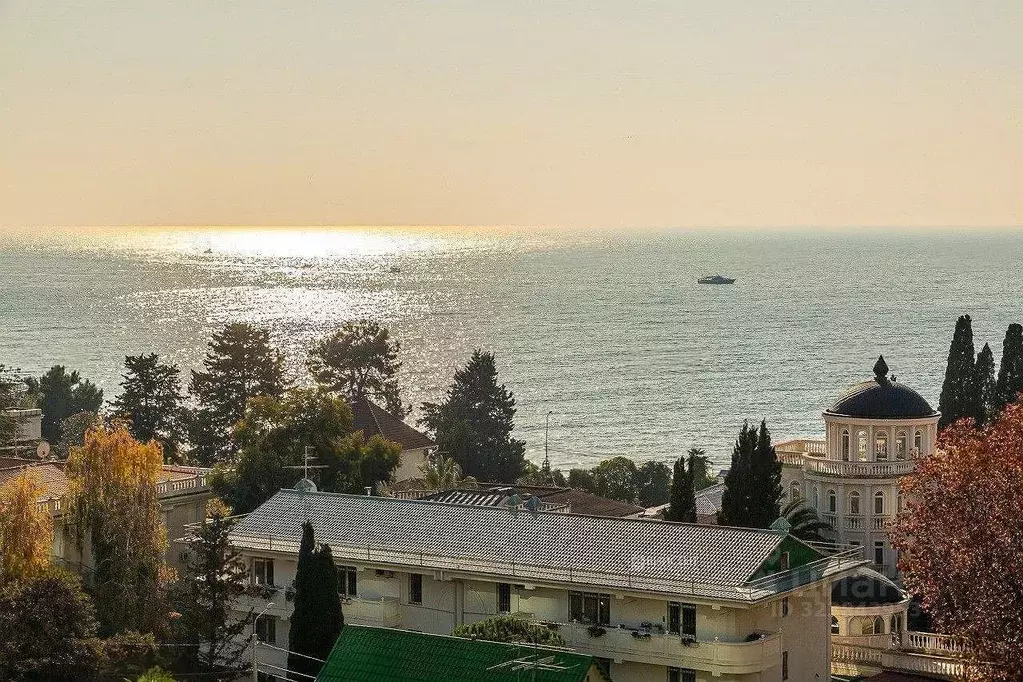 3-к кв. Краснодарский край, Сочи Светлана мкр, ул. Гагринская, 10 ... - Фото 2