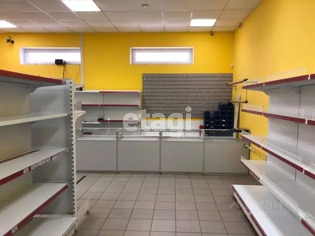 Торговая площадь в Владимирская область, Муром с. Чаадаево, ул. Новая, ... - Фото 1