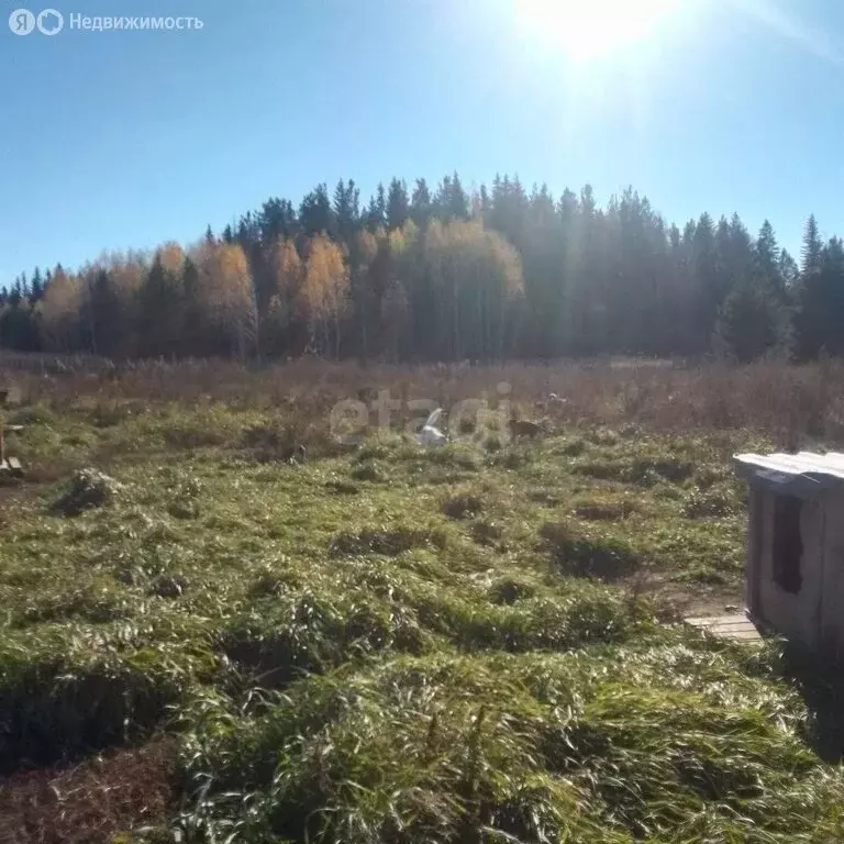 Дом в Свердловская область, Талицкий муниципальный округ, деревня ... - Фото 2